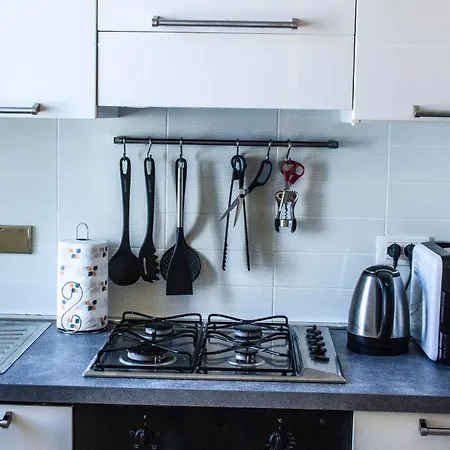 House Of Roses -inalpi Arena- * Turín