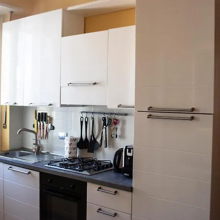 House Of Roses -inalpi Arena- *